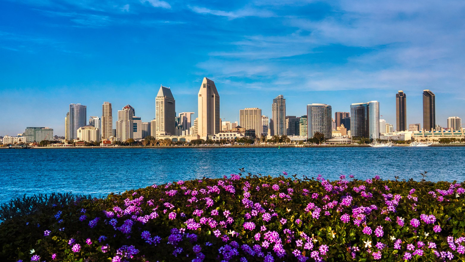 San Diego Waterfront